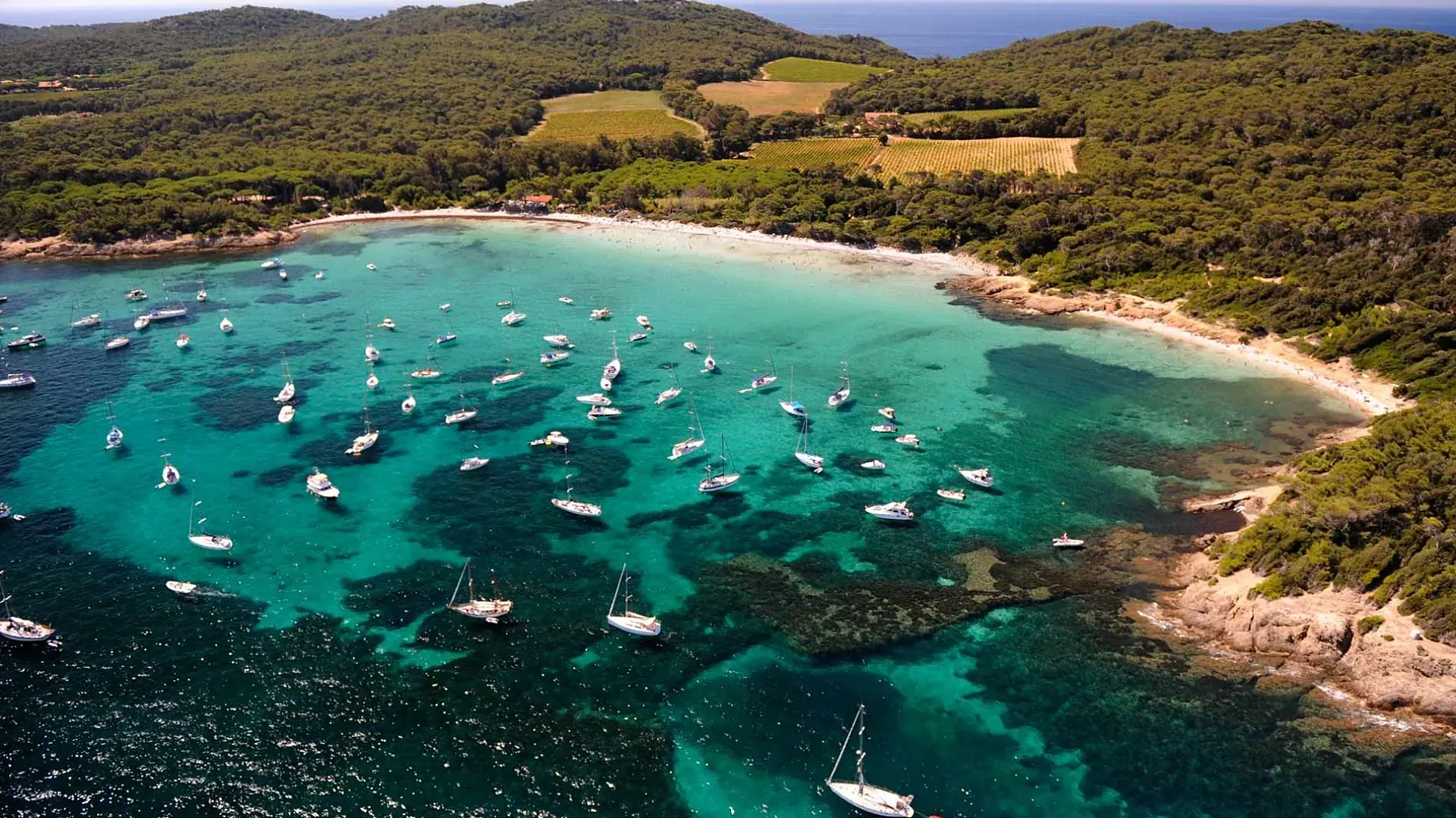 Vue aérienne d’une baie de Porquerolles