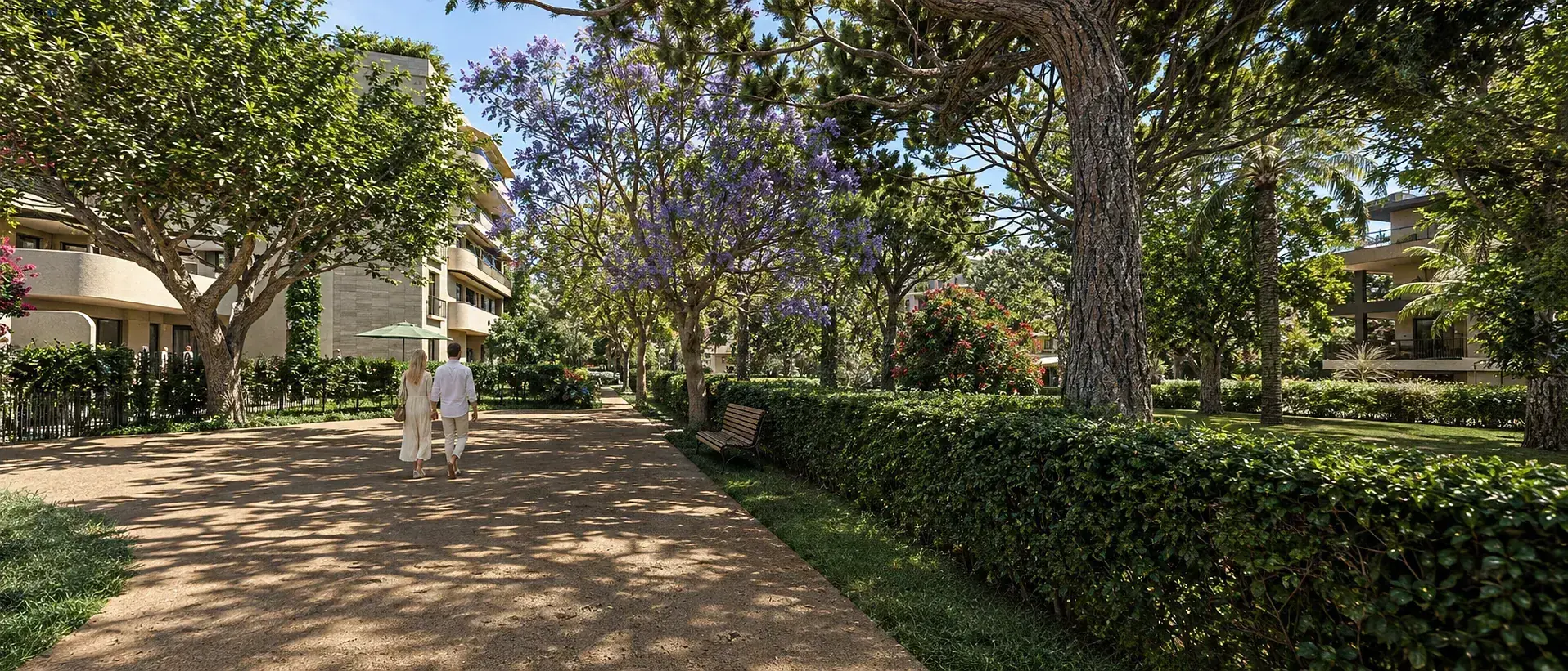 Allée ombragée du parc arboré